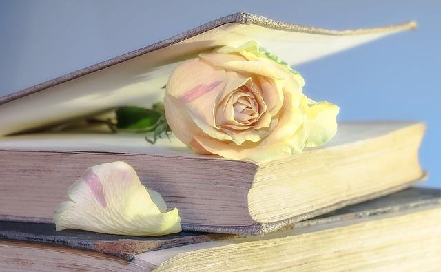 Rose G2c7a6ac57 640