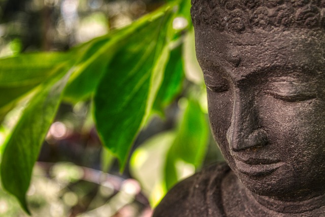 Buddha 5129800 640