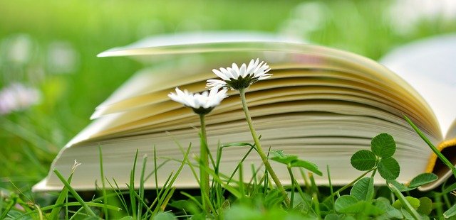 A Book G833547ef7 640